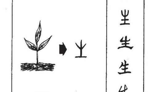 盘鳝吃法口诀-盘鳝吃法网 - 盘鳝鱼怎么做好吃,盘鳝怎么做好吃
