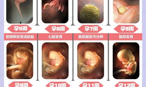 盘鳝吃法网 - 盘鳝鱼怎么做好吃,盘鳝怎么做好吃